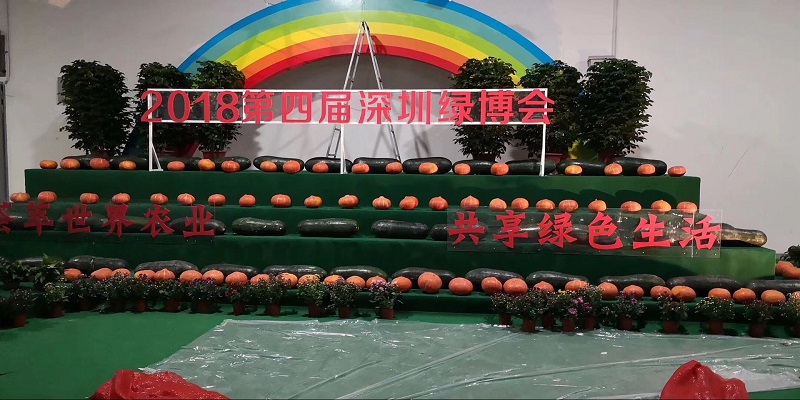 湖北有機(jī)山茶油