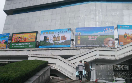 湖北有機山茶油