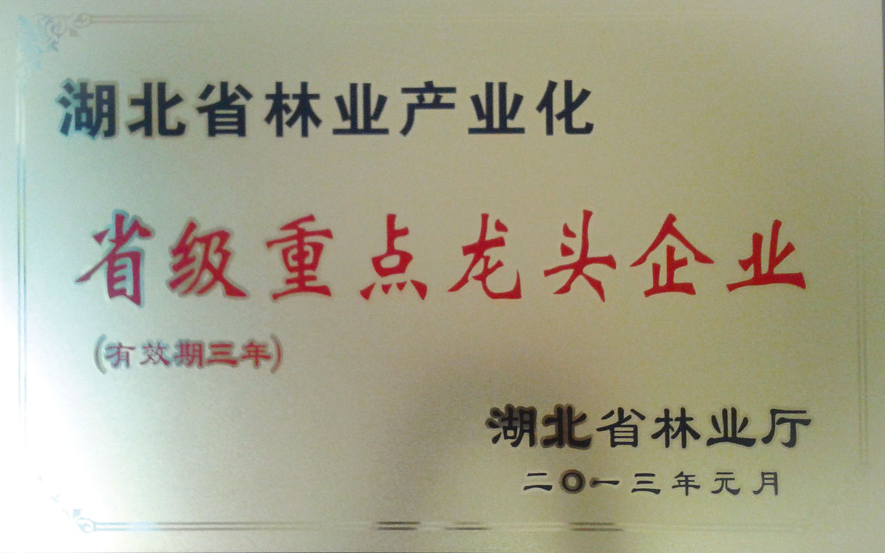 2013林業(yè)省級(jí)重點(diǎn)龍頭企業(yè)_.jpg