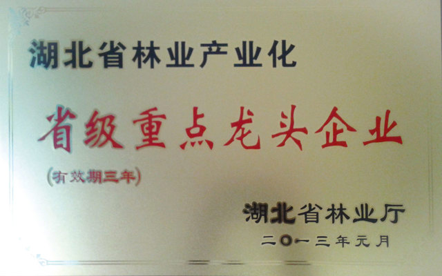 省級(jí)重點(diǎn)龍頭企業(yè)