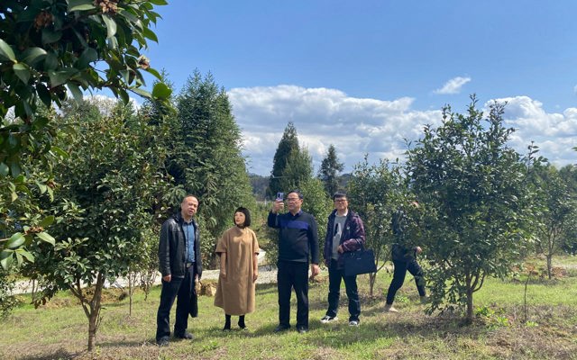 2023年3月30日州林業(yè)局領導視察