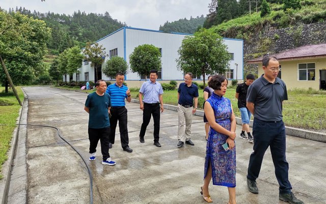 2020年7月3日恩施州黃副州長，來鳳縣杜副縣長來司調(diào)研